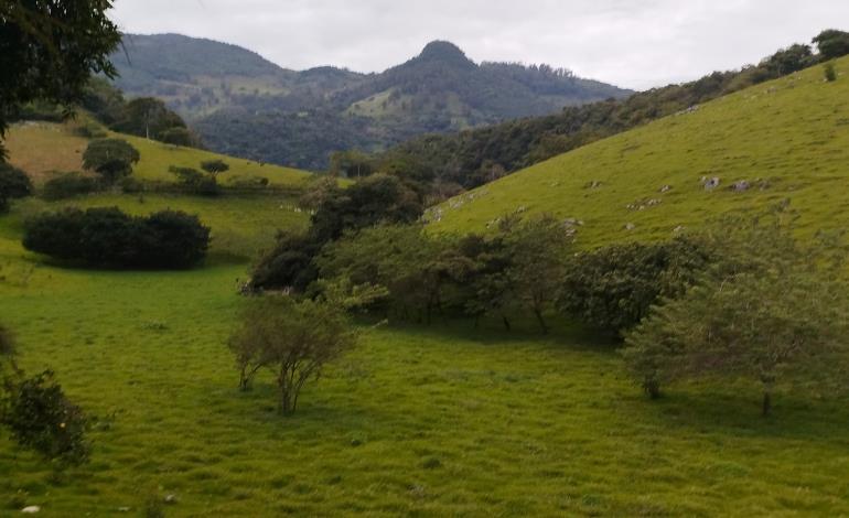 Llaman a jueces  prevenir incendios