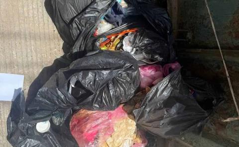 Restos de animales  grave contaminación
