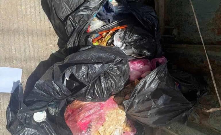 Restos de animales  grave contaminación