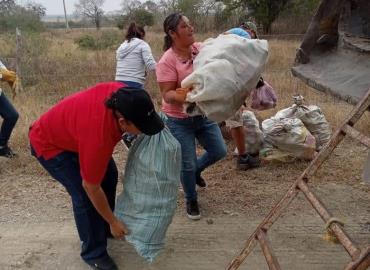Suman esfuerzos  contra los zancudos 