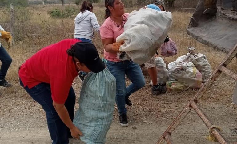 Suman esfuerzos  contra los zancudos 