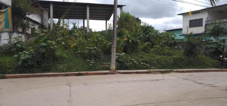 Terrenos baldíos requieren limpieza Terrenos baldíos requieren limpieza