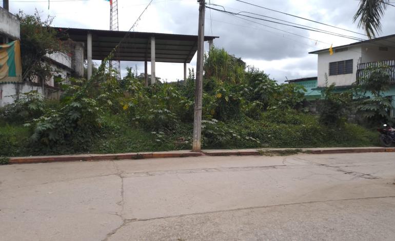 Terrenos baldíos  requieren limpieza