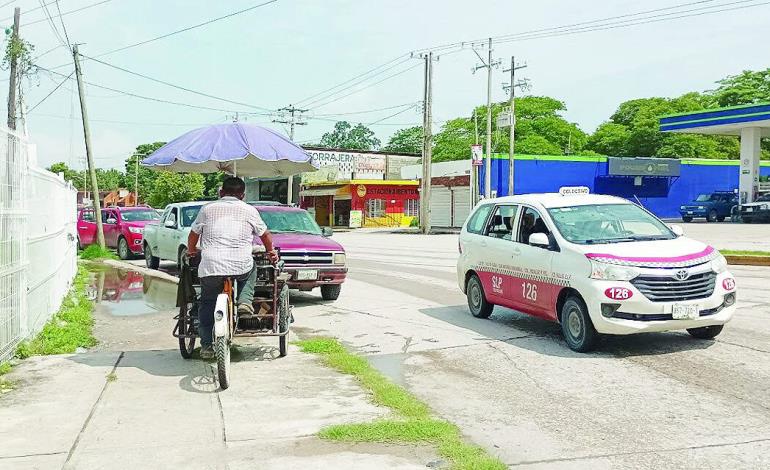 Serán 7 meses de  calor              
