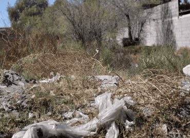 Llaman a limpiar solares baldíos 
