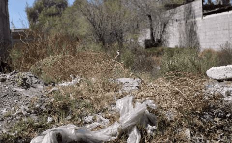 Llaman a limpiar solares baldíos 

