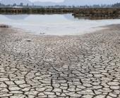 Cerritos y Villa Juárez con sequía extrema 