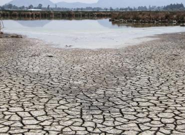 Cerritos y Villa Juárez con sequía extrema 