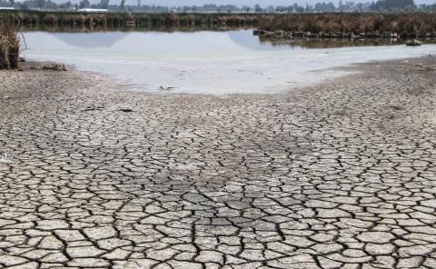 Cerritos y Villa Juárez con sequía extrema 
