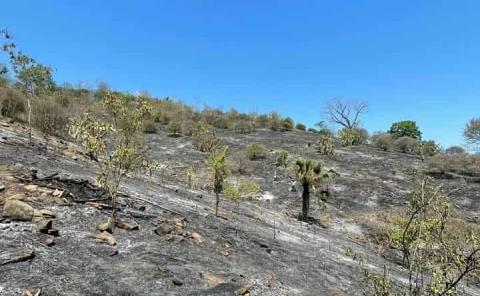 Movilización por racha de incendios en la Huasteca