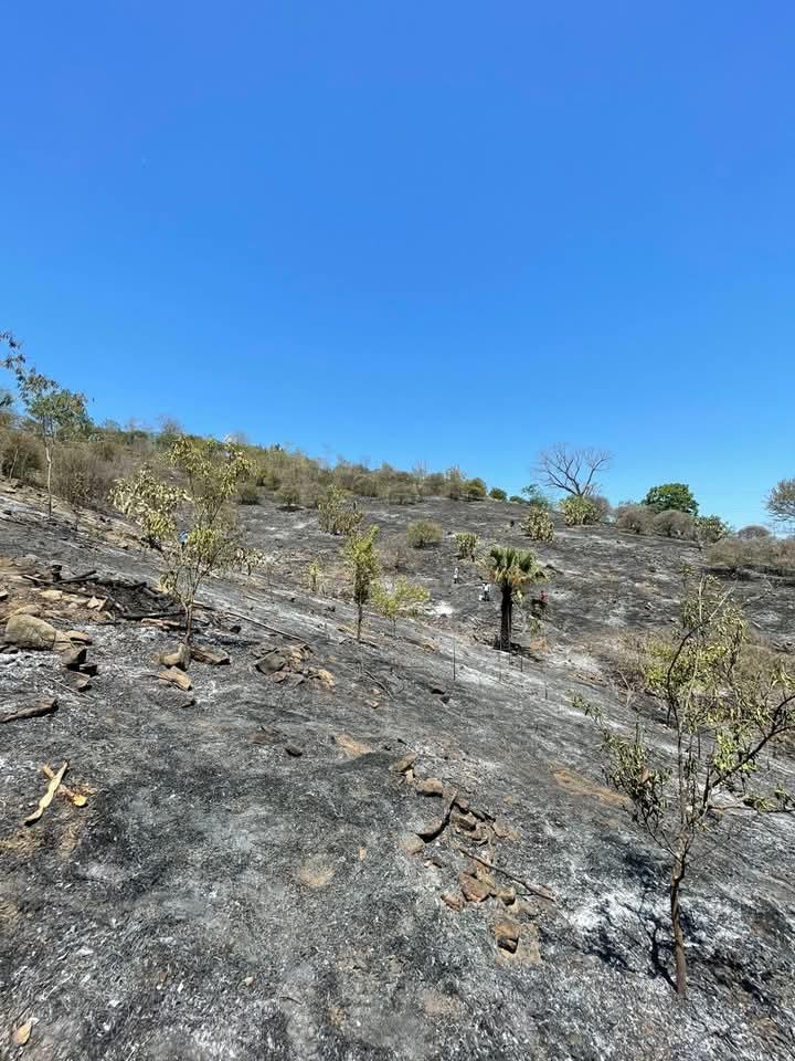 Movilización por racha de incendios en la Huasteca