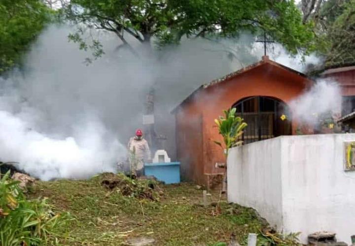 Por humedad, fumigan espacios