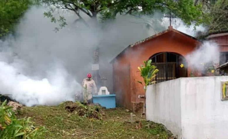 Por humedad, fumigan espacios
