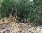 Lo torturaron y asesinaron