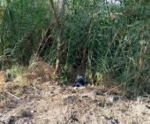 Lo torturaron y asesinaron