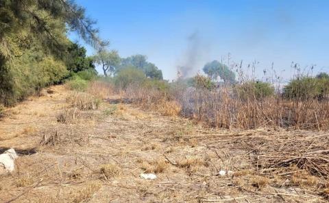 Sofocaron incendio a tiempo en huertas
