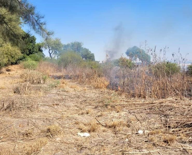 Sofocaron incendio a tiempo en huertas
