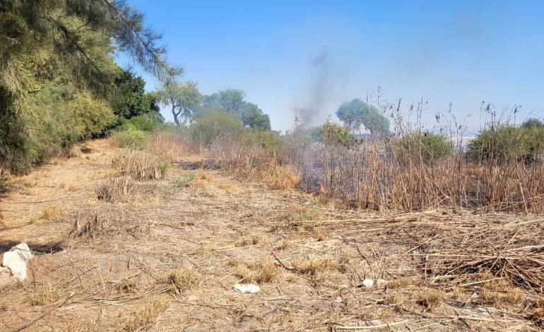 Sofocaron incendio a tiempo en huertas