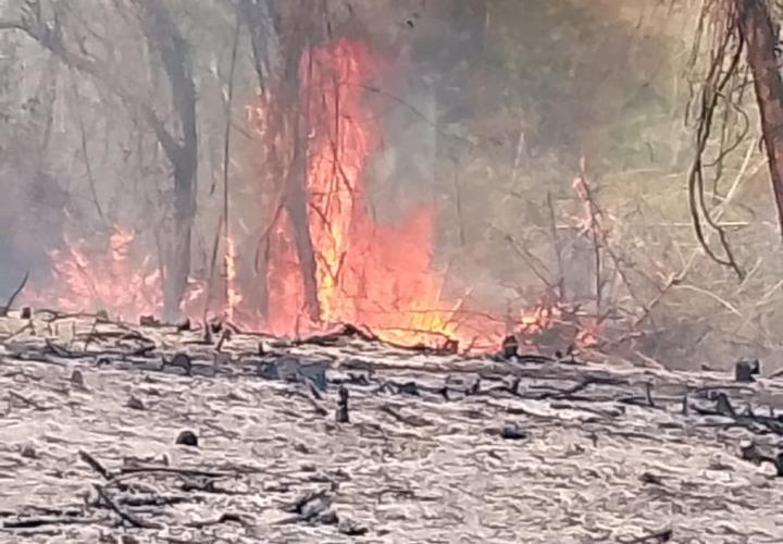 40 hectáreas consumidas por el fuego en Tampacán