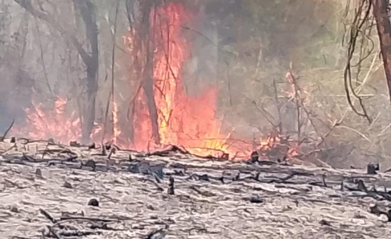 40 hectáreas consumidas por el fuego en Tampacán