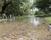 Agua del río provoca infecciones en la piel 