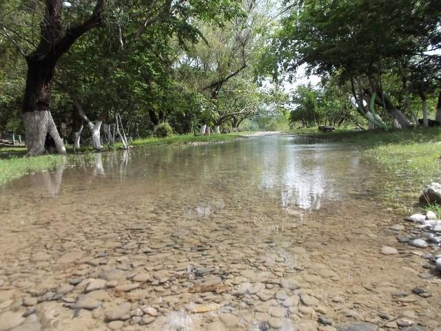 Agua del río provoca infecciones en la piel 