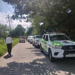 ¡CAYERON VIOLADORES!