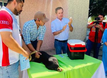 Instalaron puestos de vacunación en ejidos