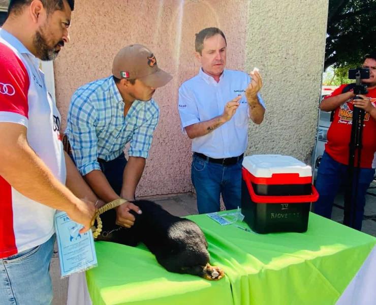 Instalaron puestos de vacunación en ejidos
