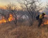 Provocaron varios incendios de pastizal