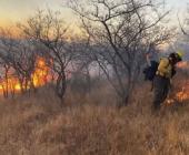 Provocaron varios incendios de pastizal