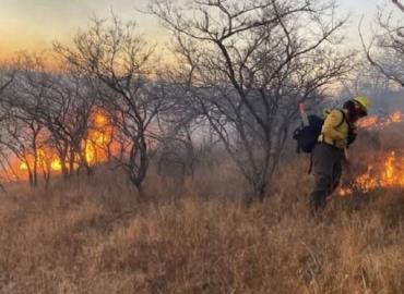 Provocaron varios incendios de pastizal