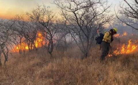 Provocaron varios incendios de pastizal

