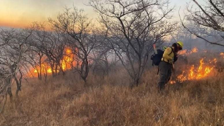 Provocaron varios incendios de pastizal
