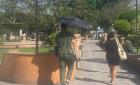 Alarma por intenso sol
