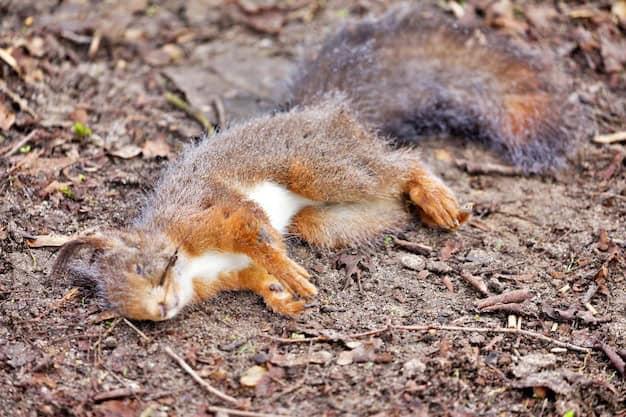 Calor mata la fauna silvestre 
