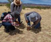 Escasea el agua por daños al ecosistema