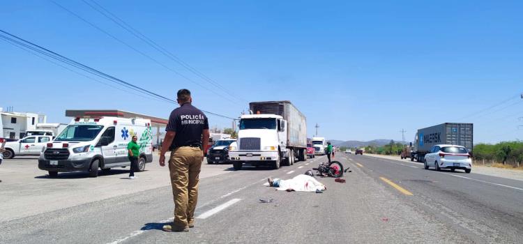 ¡ARROLLADO Y MUERTO! ¡ARROLLADO Y MUERTO!