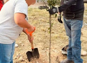 Vecinos reforestarán  parajes en los ejidos 