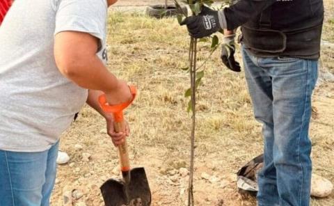 Vecinos reforestarán  parajes en los ejidos 
