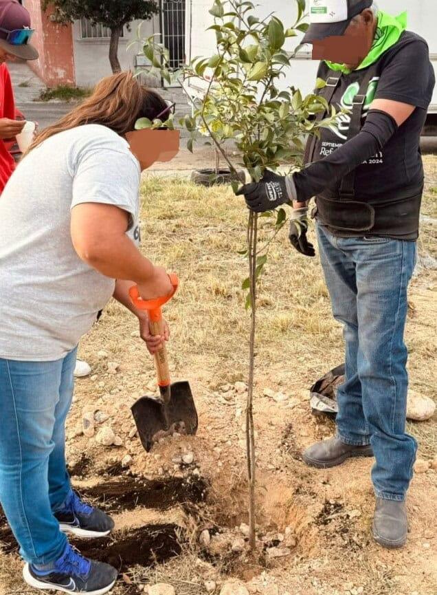 Vecinos reforestarán  parajes en los ejidos 
