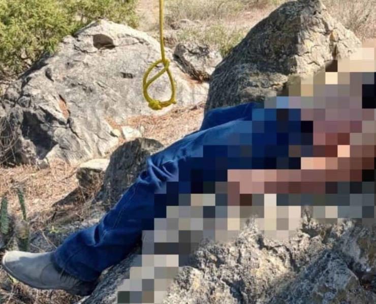 COLGADO DE  UN ÁRBOL