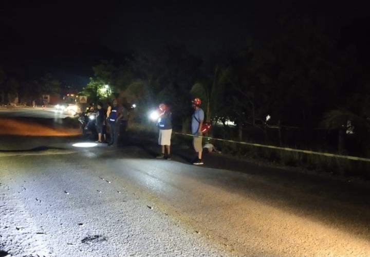 MURIÓ ATROPELLADO