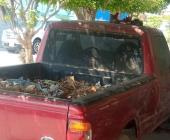 Camionetas abandonadas son contenedores de basura