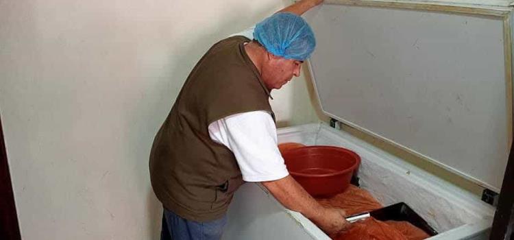 Coepris supervisa  establecimientos 