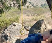 COLGADO DE UN ÁRBOL 