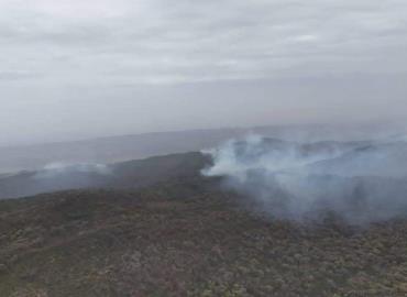 Importante denunciar a  quien cause incendios 