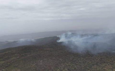 Importante denunciar a  quien cause incendios 
