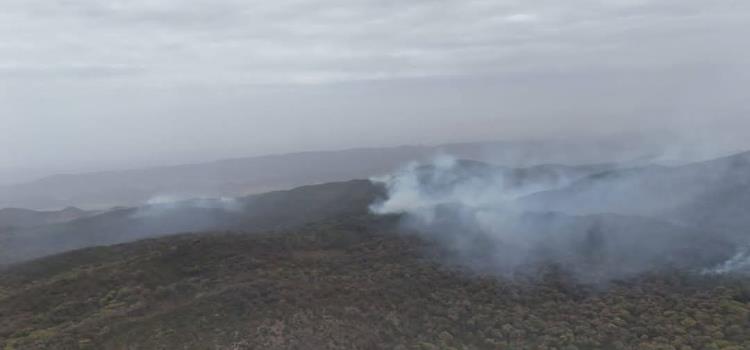 Importante denunciar a quien cause incendios Importante denunciar a quien cause incendios