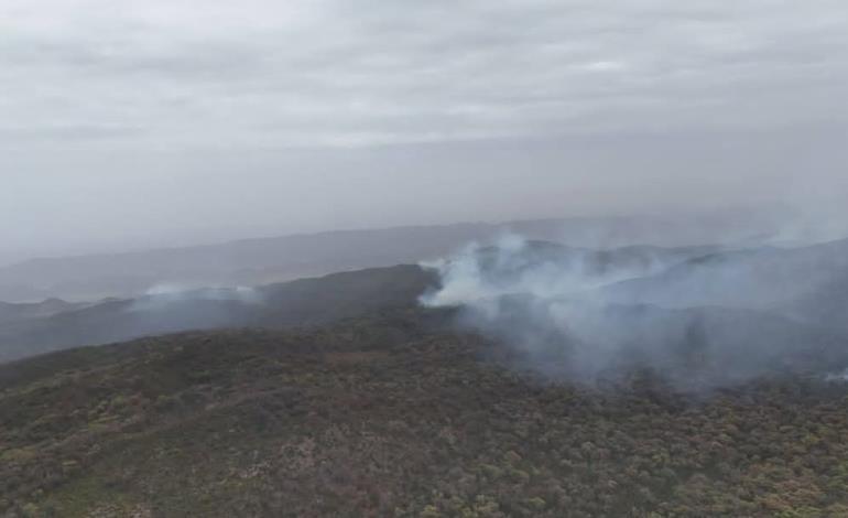Importante denunciar a  quien cause incendios 